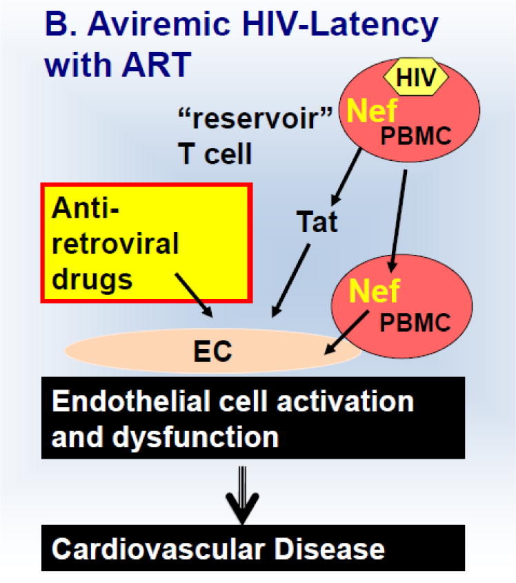 Schematic 1