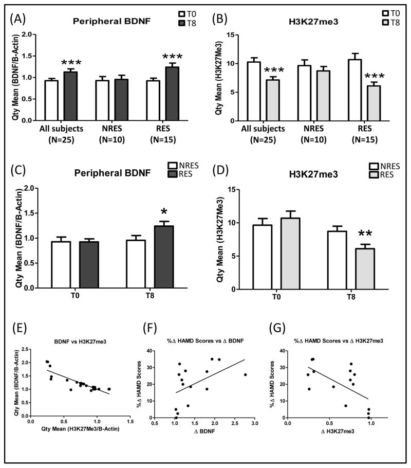 Epigenetic regulation of BDNF expression according to antidepressant ...