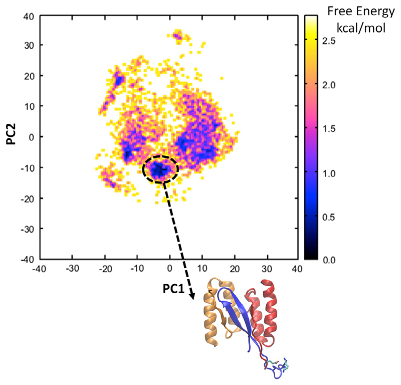 Fig. 2