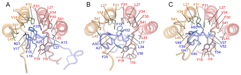 Fig. 6