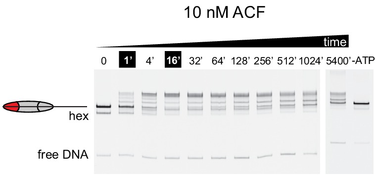 Figure 3—figure supplement 2.