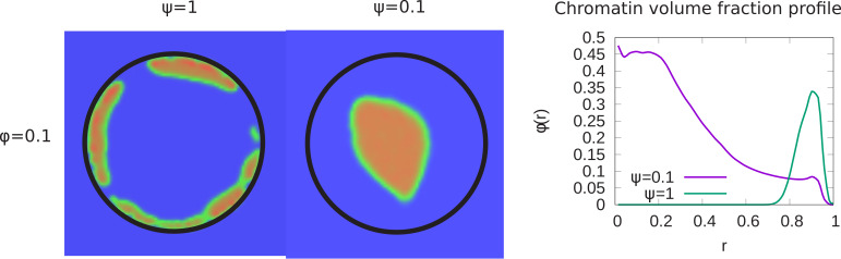 Figure 3—figure supplement 1.