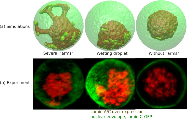 Appendix 5—figure 1.