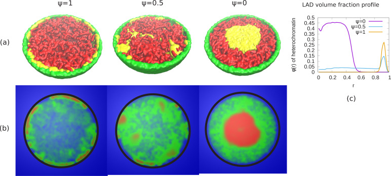 Appendix 7—figure 1.