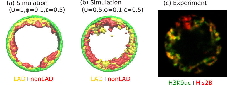 Figure 6.