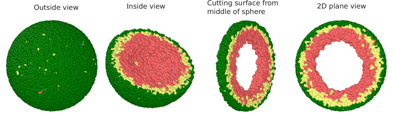 Figure 1—figure supplement 1.