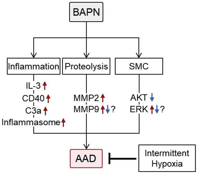 Fig 1