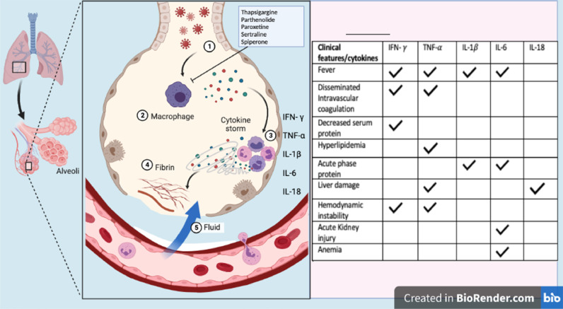 Fig 2