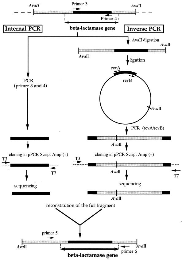 FIG. 1