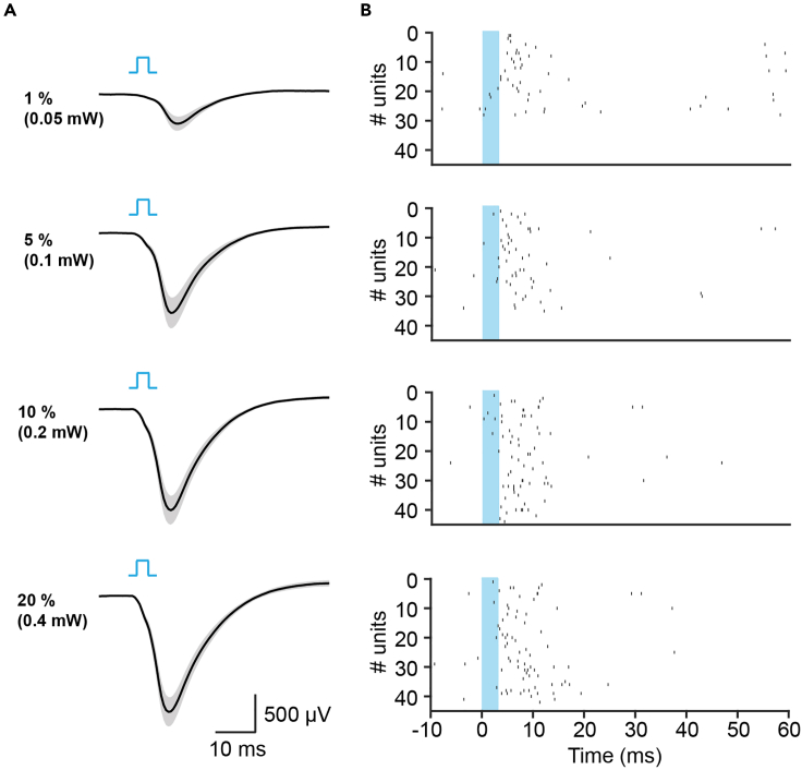 Figure 4