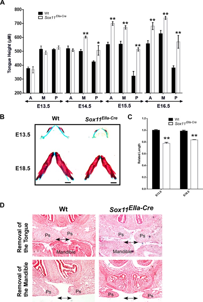 FIGURE 4.