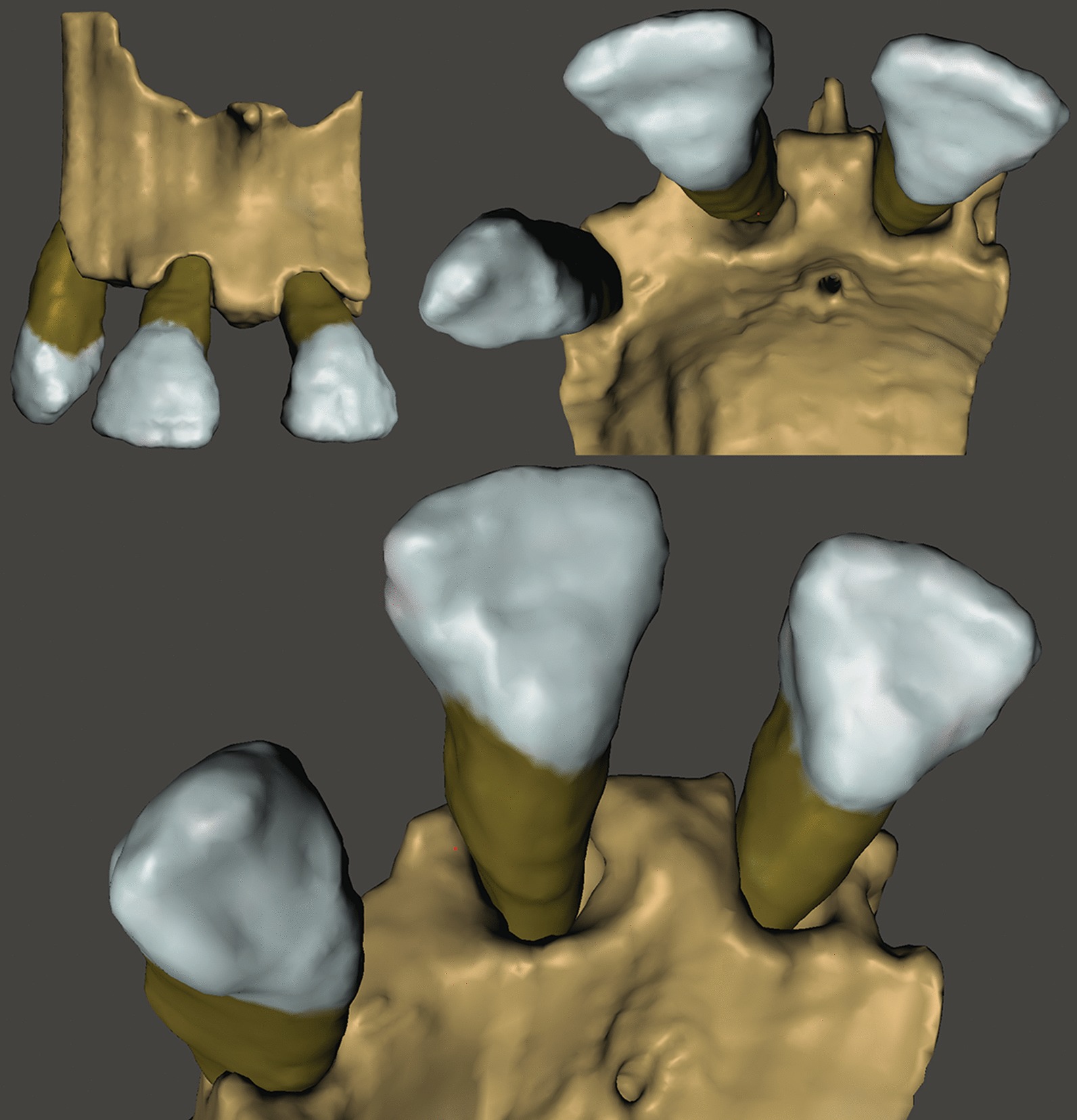 Fig. 2