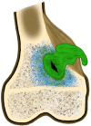 Fig. 11.