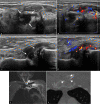 Fig. 8.