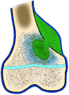 Fig. 9.
