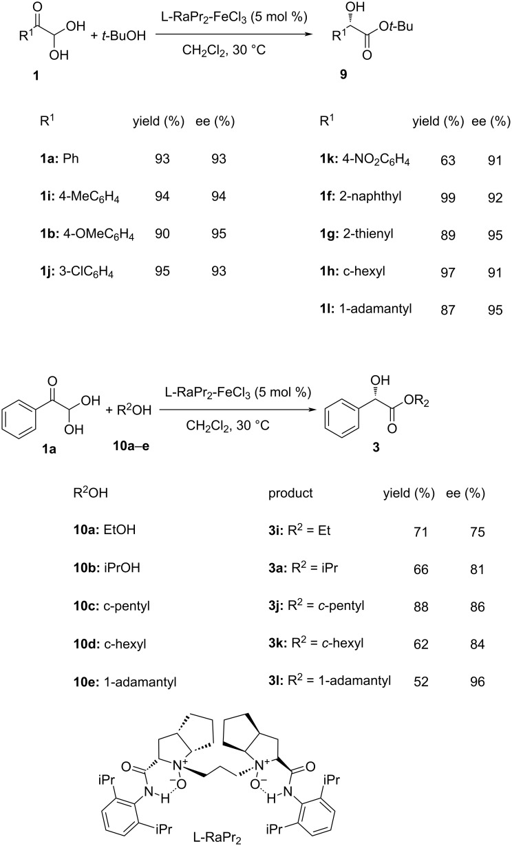 Scheme 5