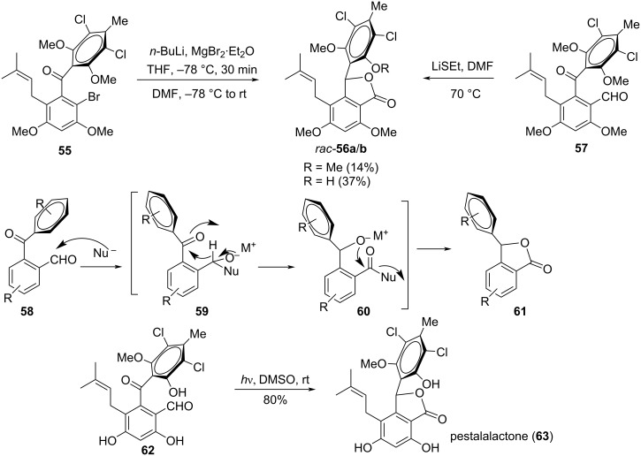 Scheme 19