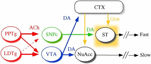 Fig. 6.