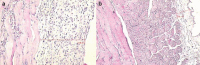 FIG. 3. a, b.