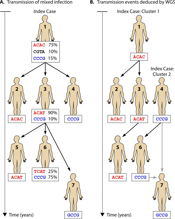 FIG 2