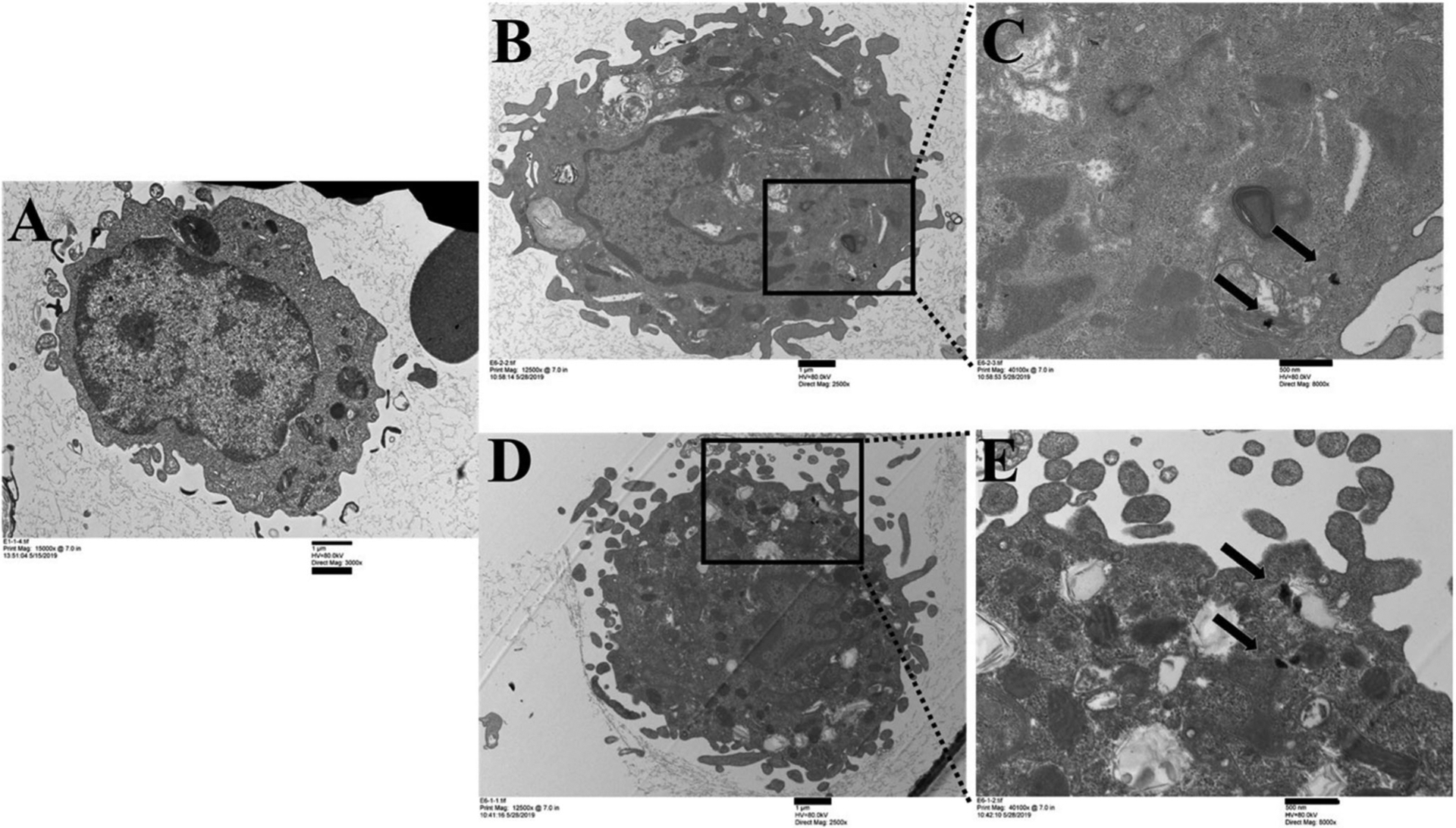 Figure 5.