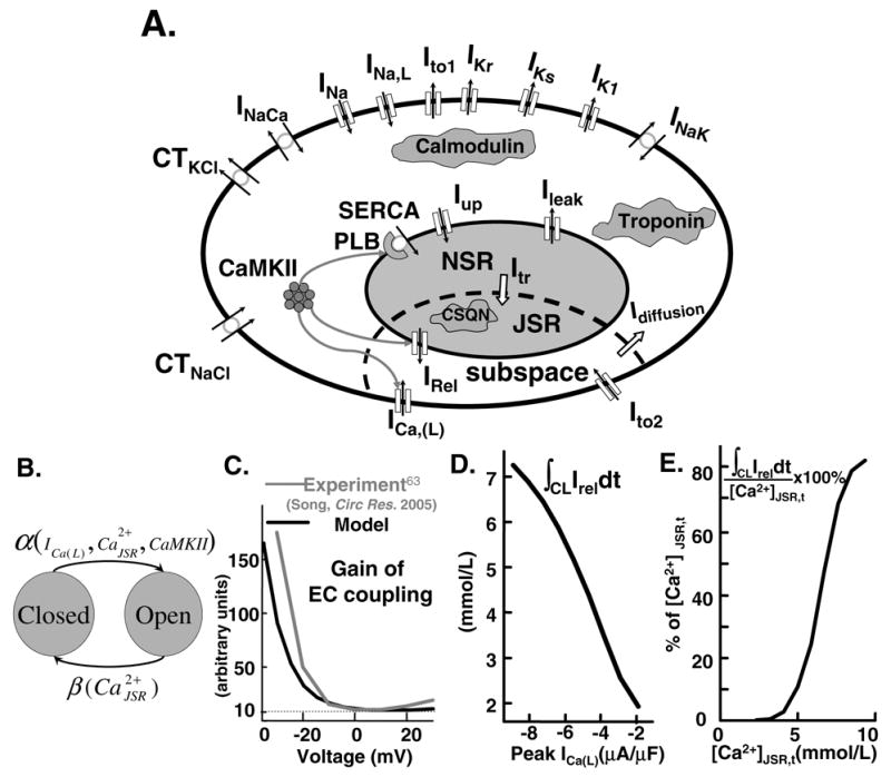 FIG. 1