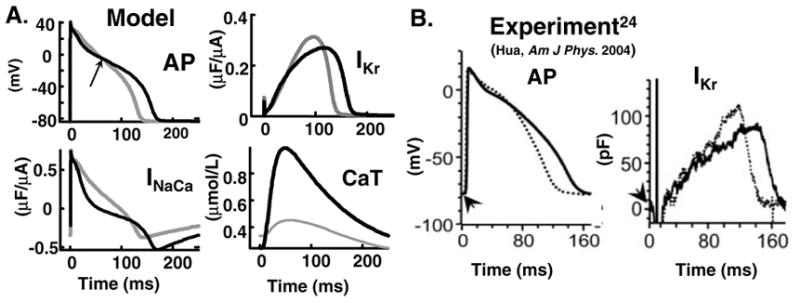 FIG. 6