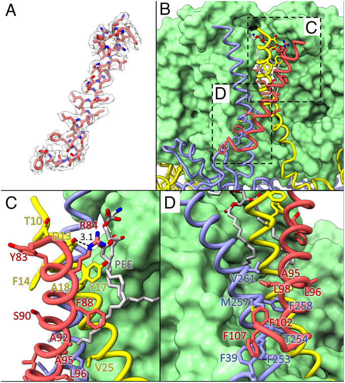 Fig. 3.