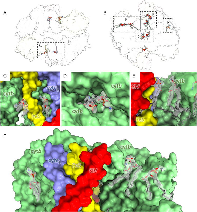 Fig. 4.