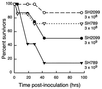 FIG. 4