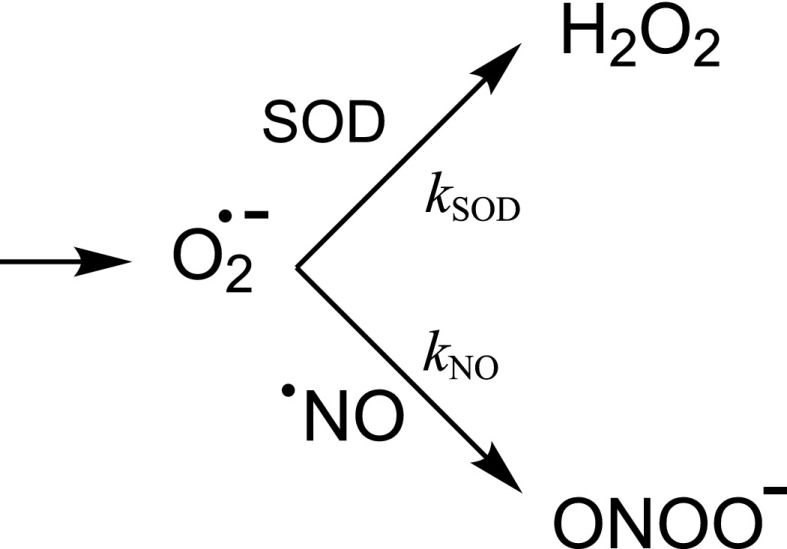 Scheme 3.