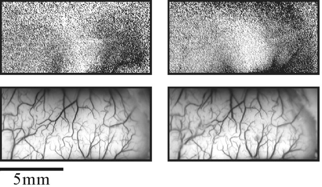 Fig. 11.