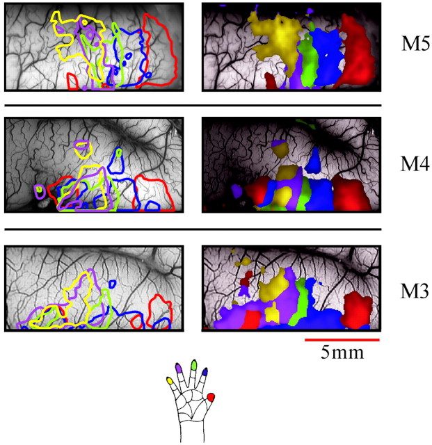 Fig. 4.