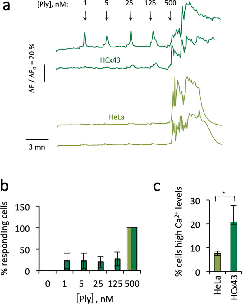 Fig 6