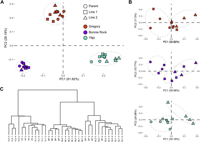 Fig. 2