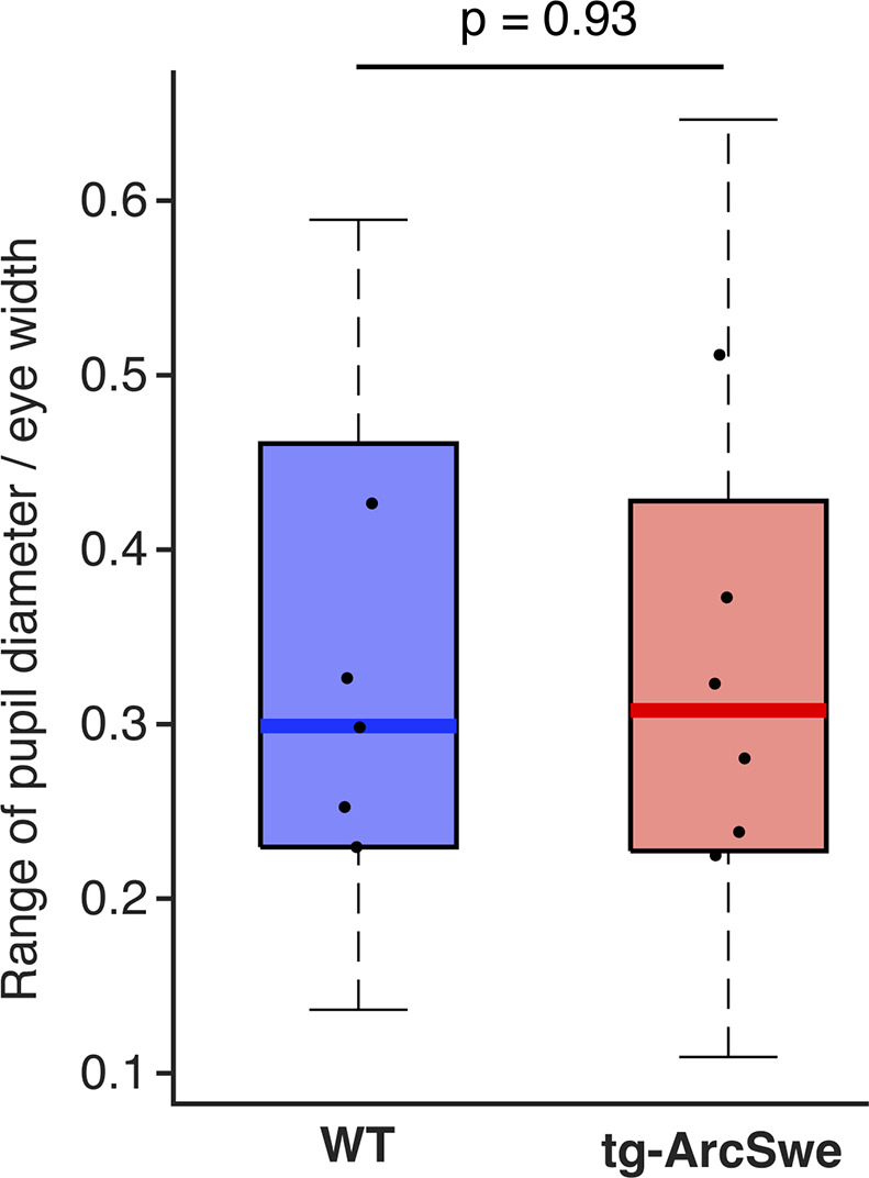 Figure 4—figure supplement 2.