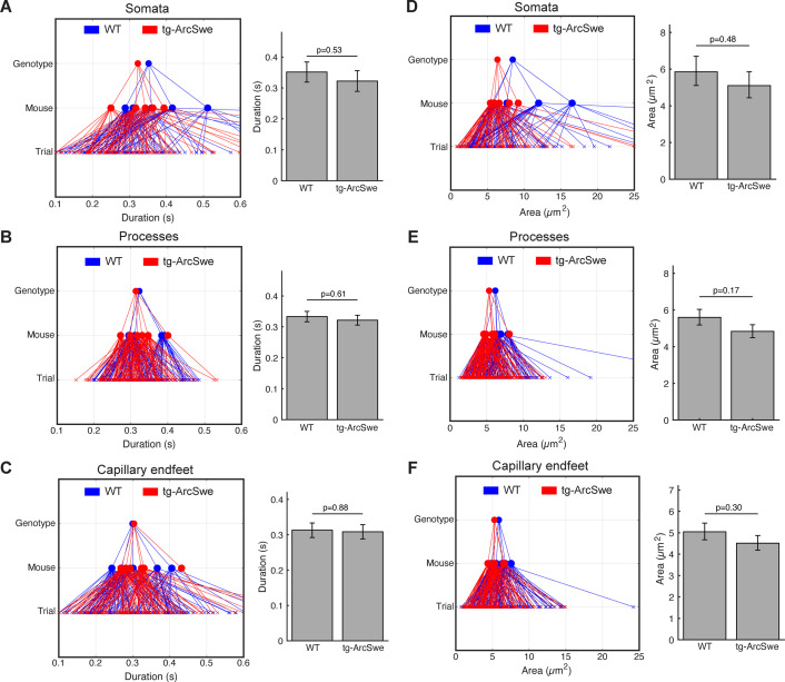 Figure 2—figure supplement 4.