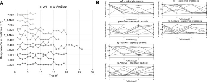 Figure 4—figure supplement 1.