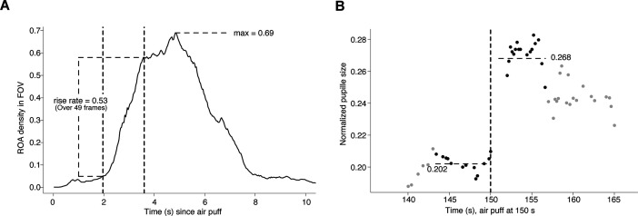 Figure 4—figure supplement 3.