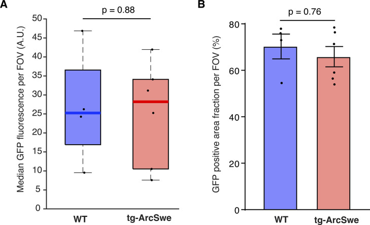 Figure 2—figure supplement 3.