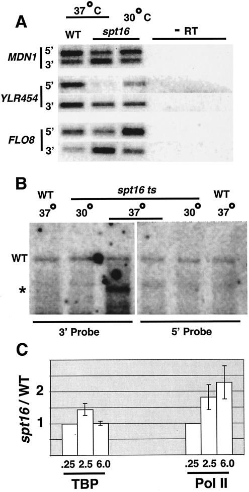 FIG. 7.