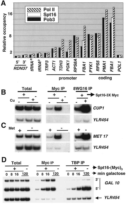 FIG.1.