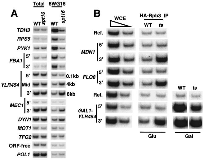 FIG. 6.