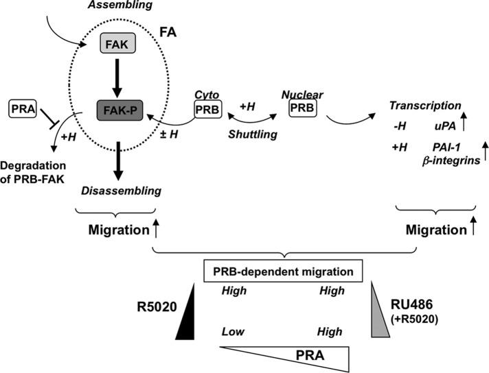 FIGURE 7: