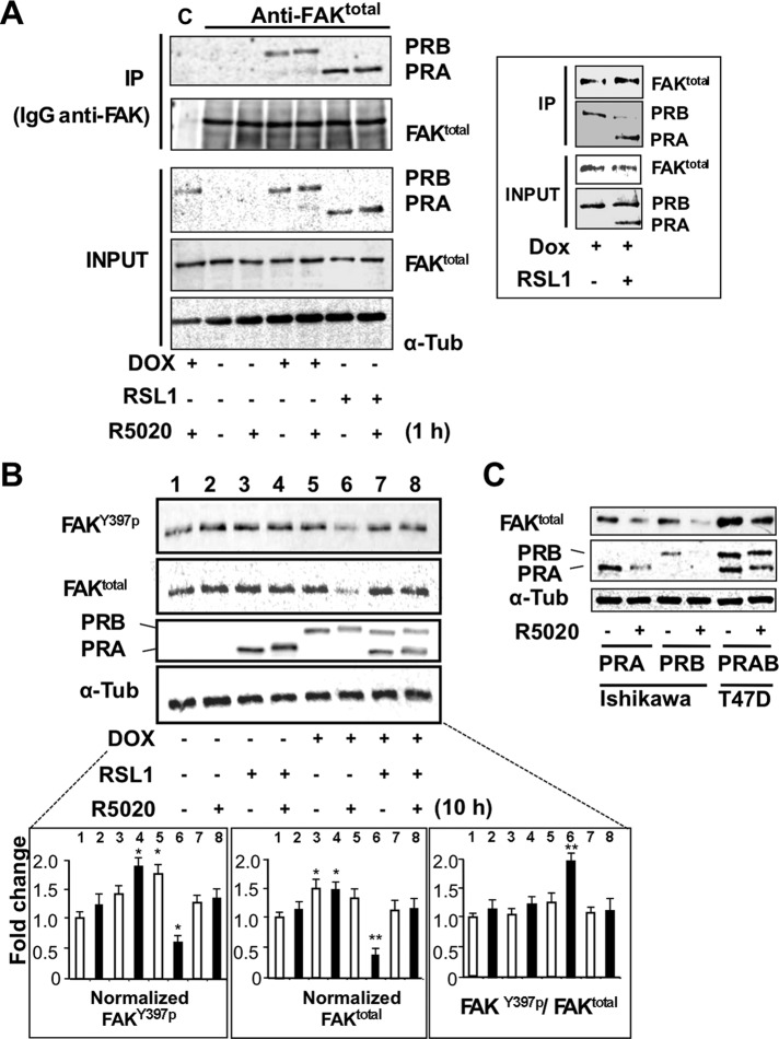 FIGURE 6: