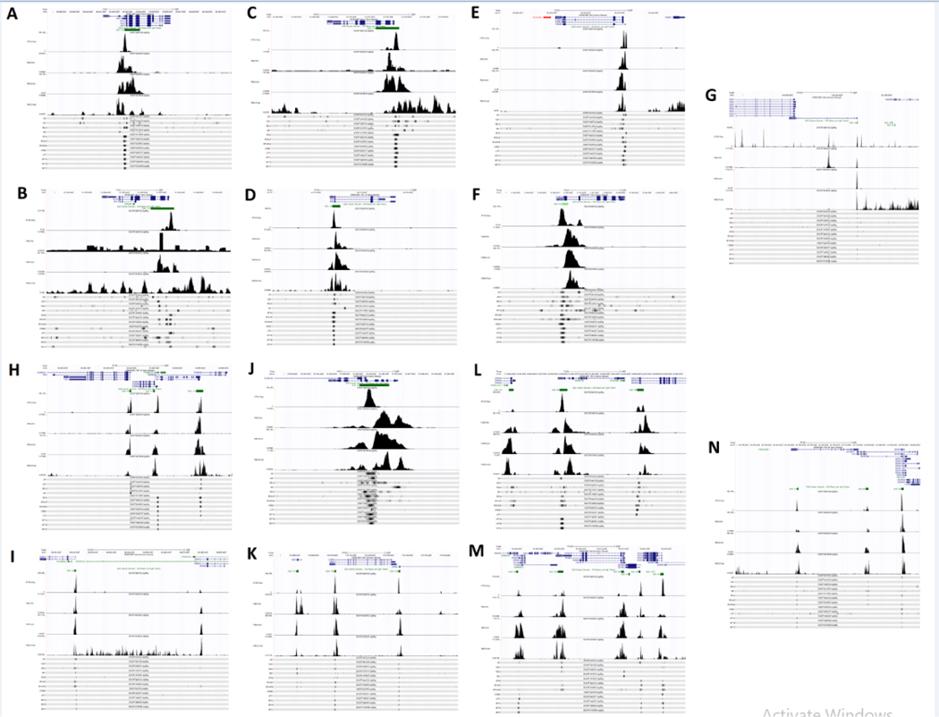 Figure 3: