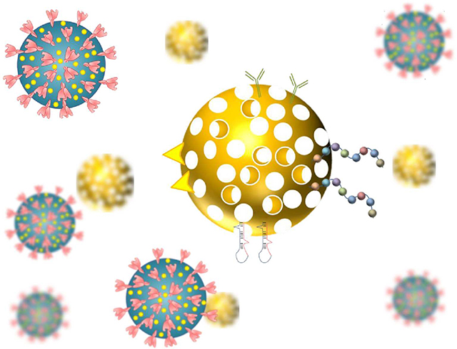 graphic file with name nihms-1922333-f0001.jpg