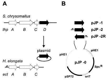 FIG. 2.