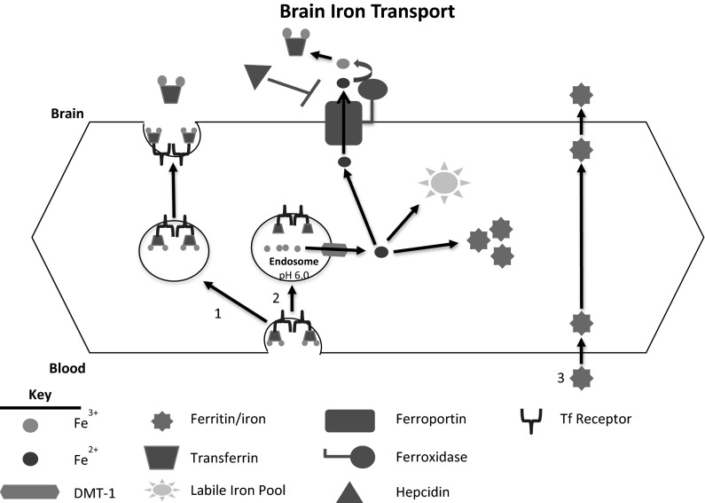 Fig. 3