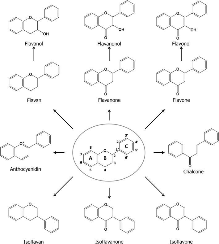 Fig. 2